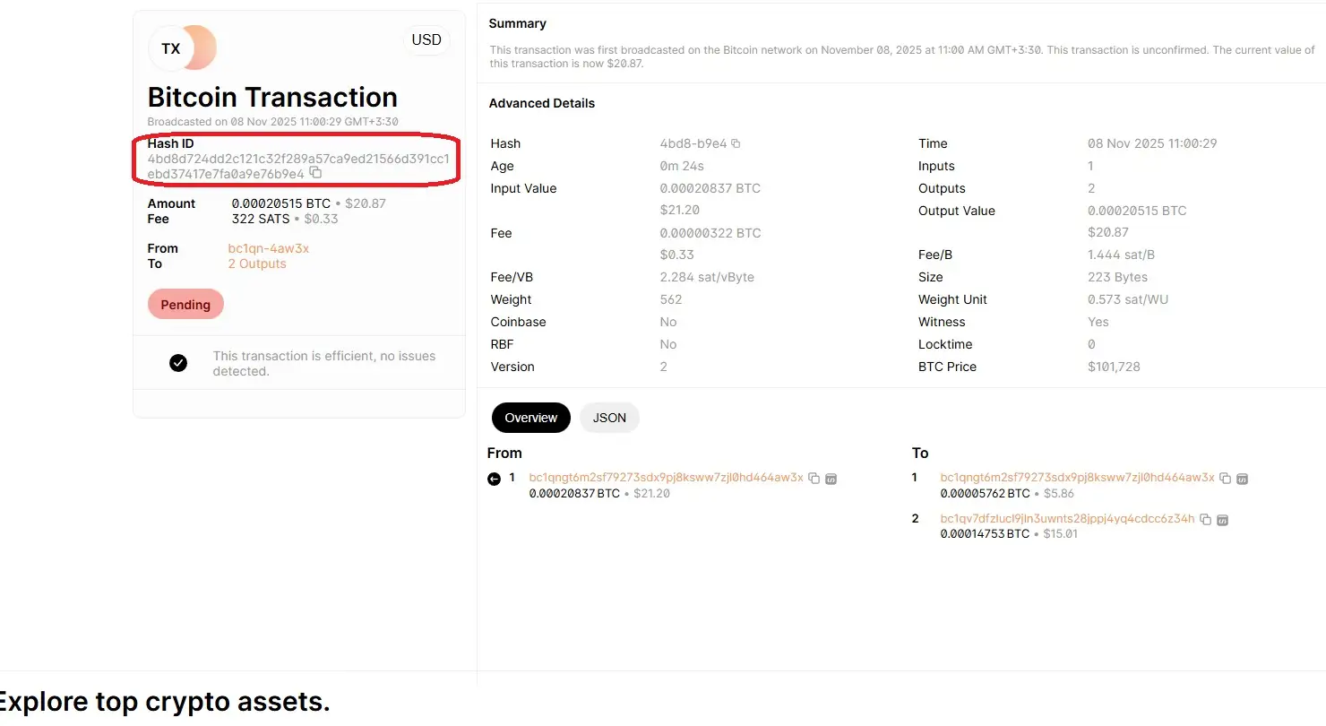 شکل و فرمت شناسه تراکنش (TXID) در بلاک چینهای مختلف