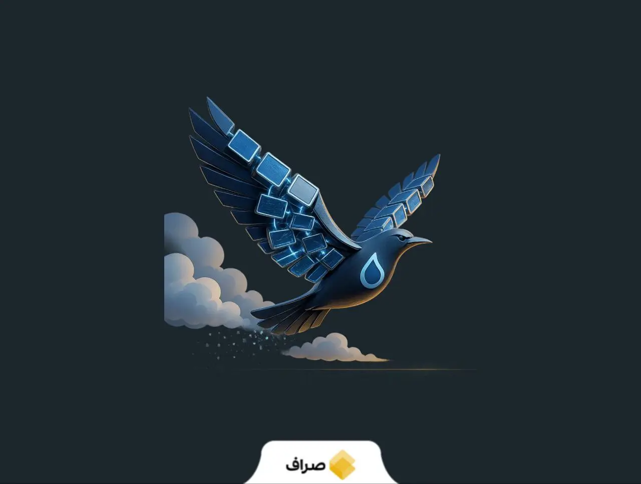 بلاکچین سویی چیست