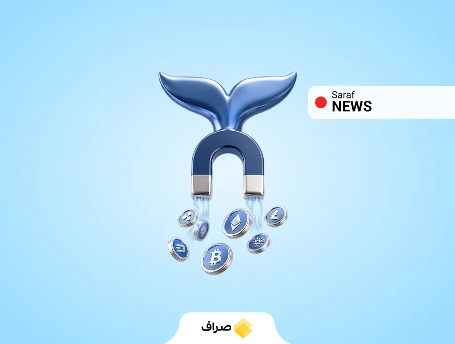نهنگ‌های بازار ارز دیجیتال چه کسانی هستند و چرا همه حرکات آن‌ها را زیر نظر می‌گیرند؟